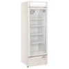Vetrina Refrigerata Per Bibite Modello DC388C Assorbimento 172 W